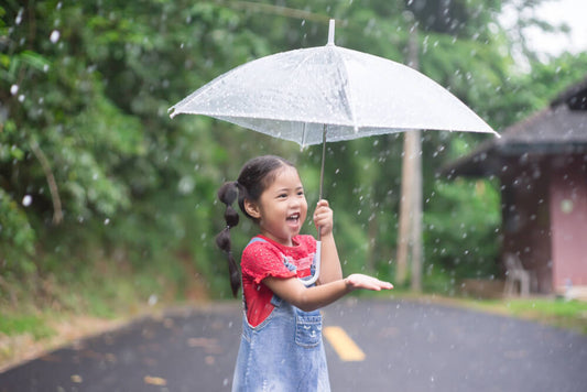 Immunity Care in this Monsoon with Ayurveda