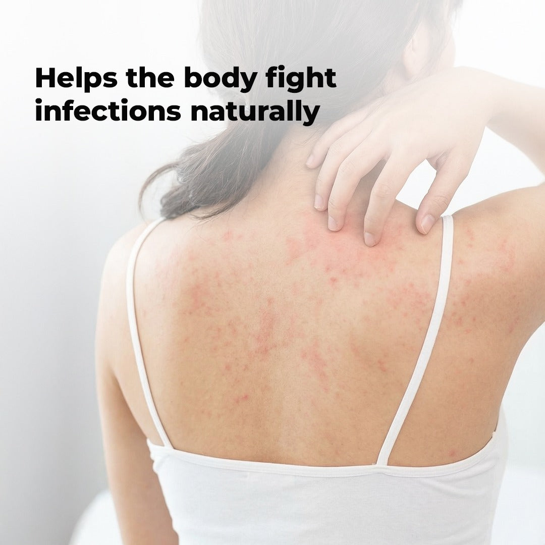 Gulgulupanchapalam 100 Tablets - A good Vranaropana (ulcer healing) & Medoghna (reduces fat deposition)