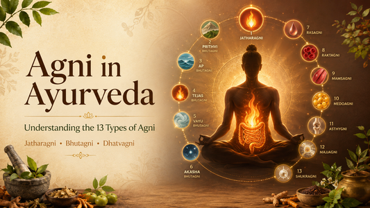 Agni in Ayurveda: Understanding the 13 Types of Agni and Their Role in Digestion and Health