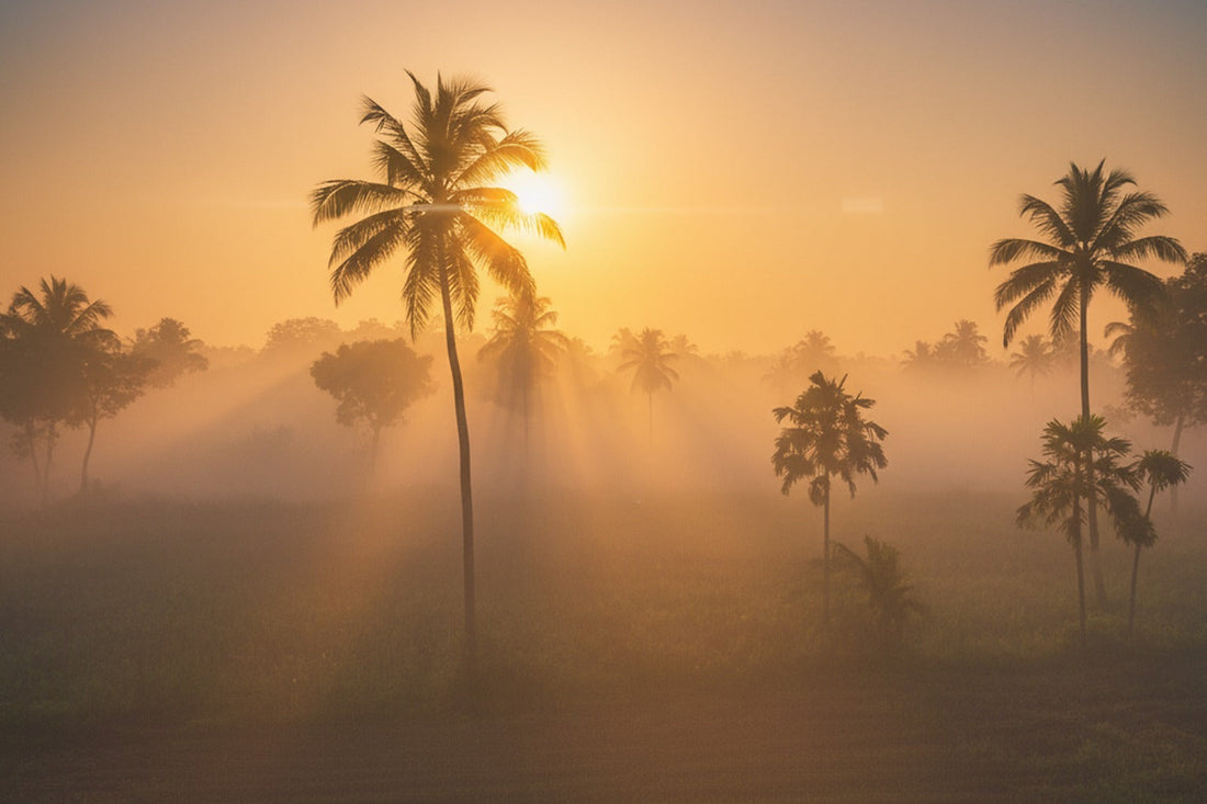 Finding Balance in Vrishchikam