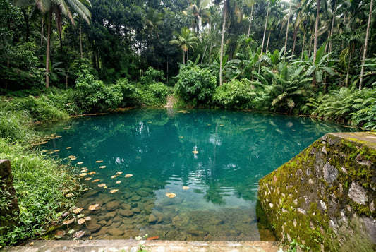 Ayurveda Care for Heat Management in Summer (Grishma Ritu)