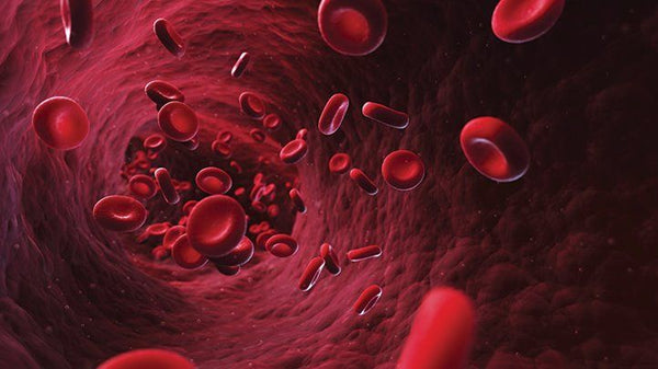 Anaemia: How to Heal it with Ayurveda