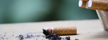 Seeking Herbal Non-Smoking Support? Try Our Big Cig