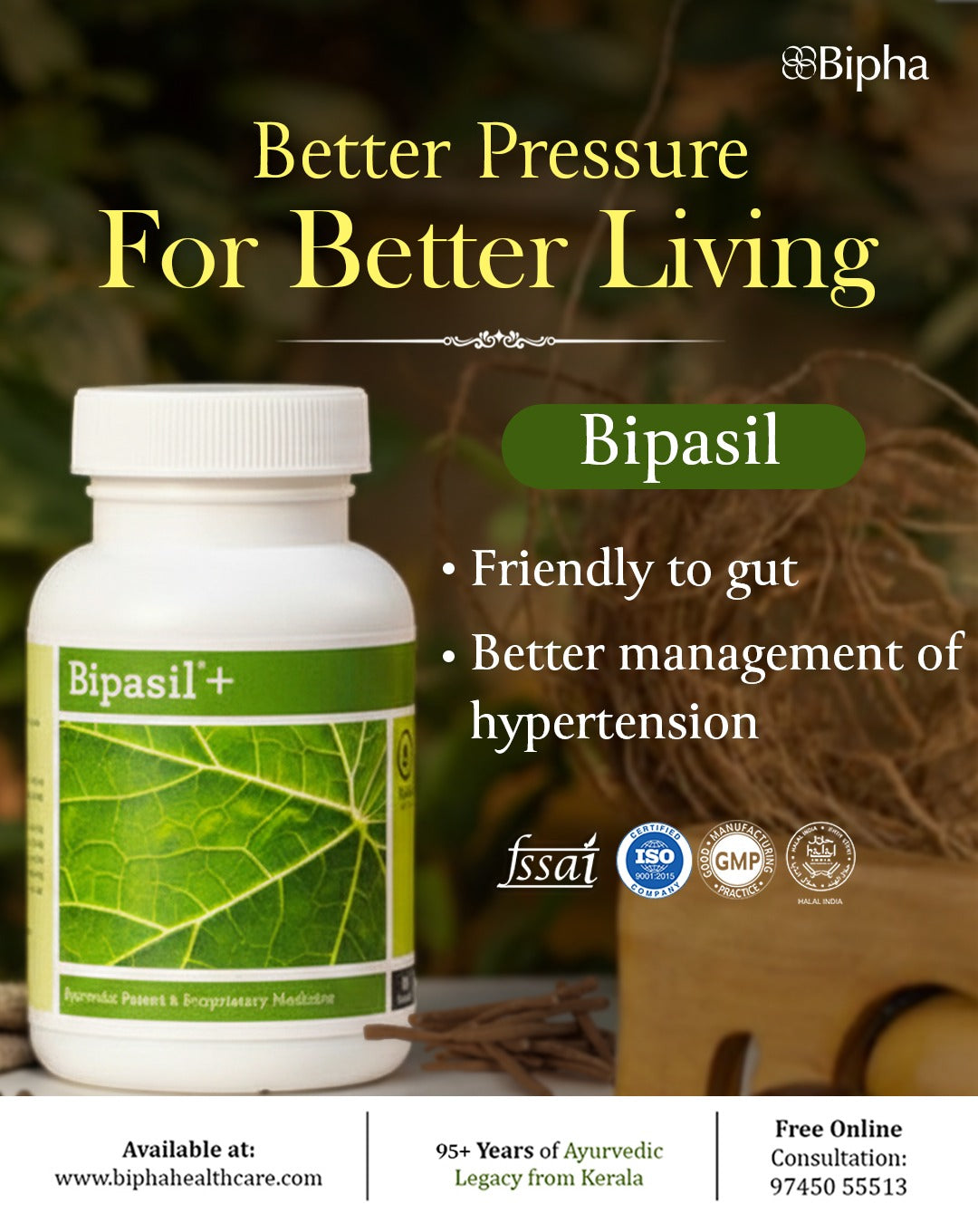 Bipasil Plus 60 Capsules