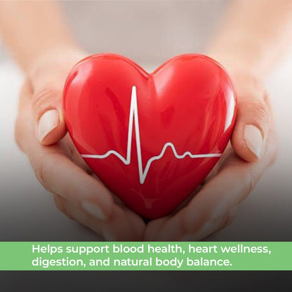 Navayasam 90 Tablet - A cardioprotective polyherbal formula for anaemia & skin diseases