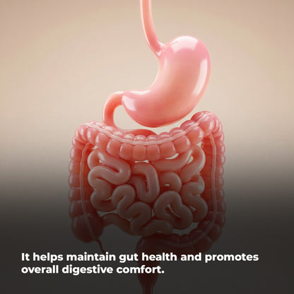 Chiruvilwadi  Kashaya 60 Tablet - A Herbal remedy for piles and associated symptoms